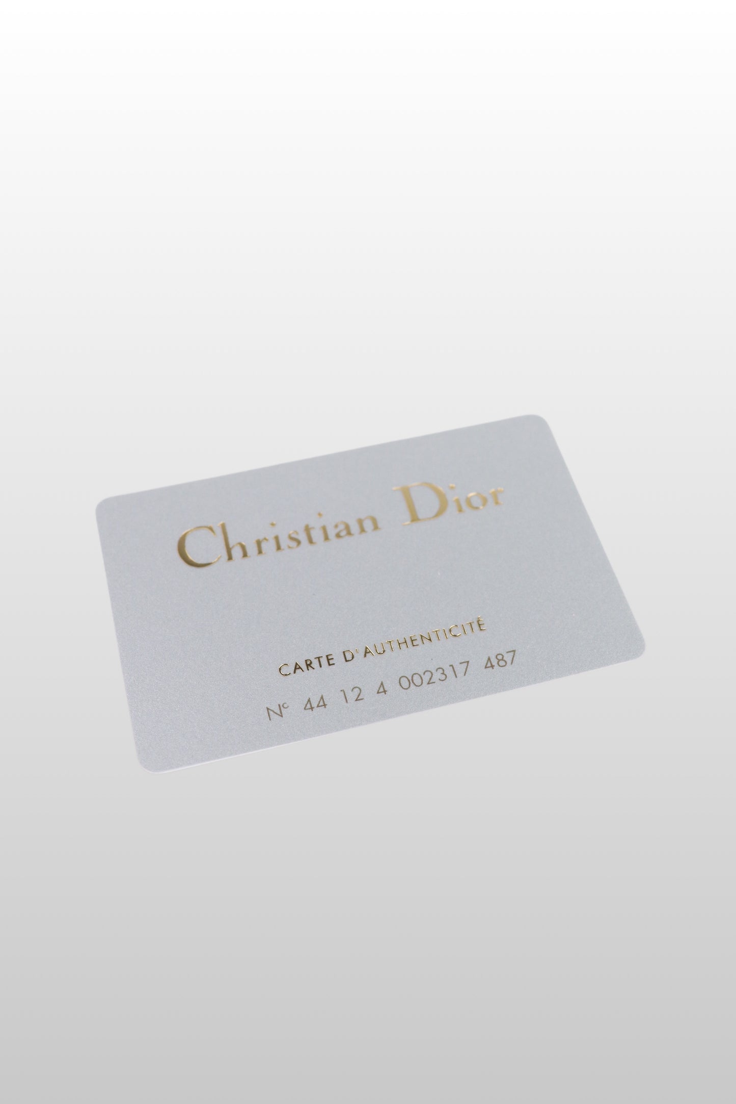 RARE Dior x Galliano 2000s Mini Saddle Bag