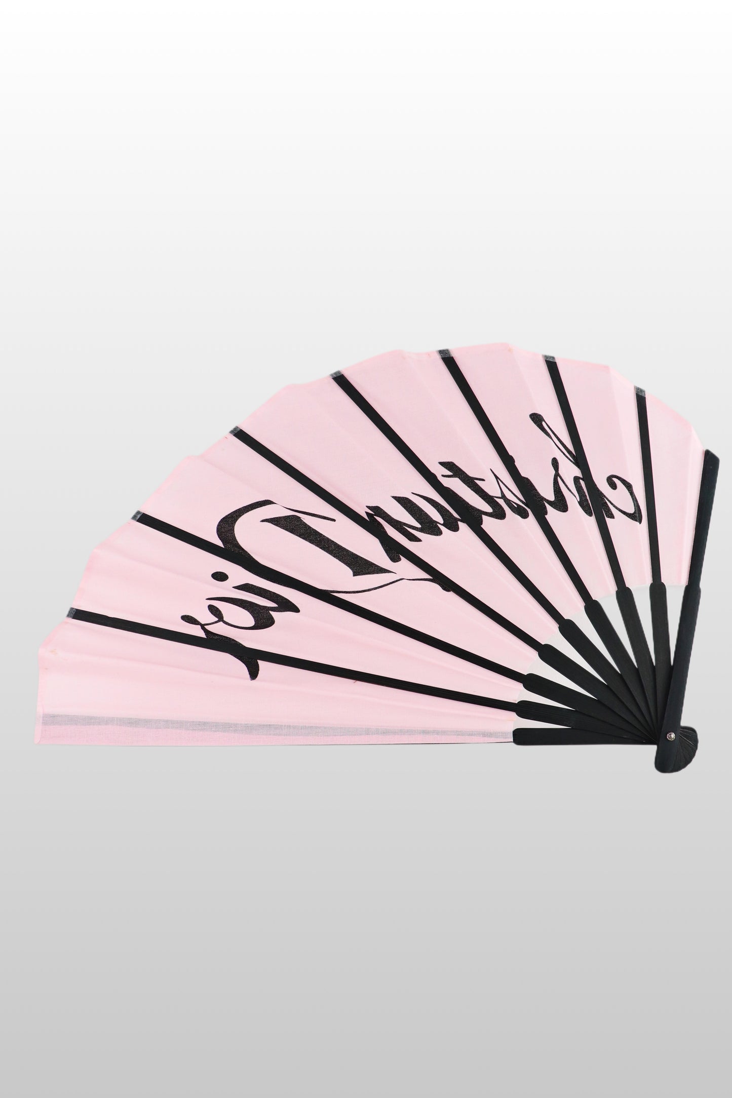 RARE Christian Dior by John Galliano 2000s Light Pink Fan