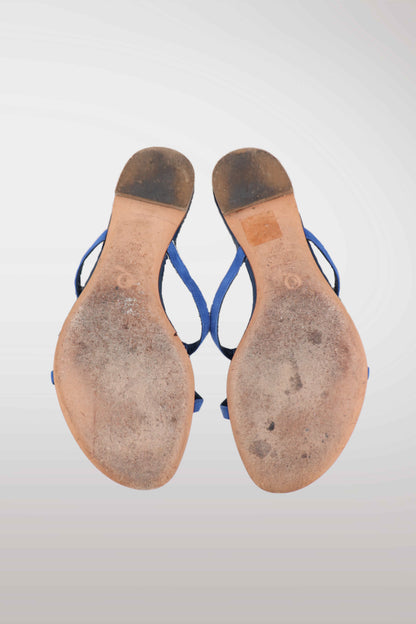 A pair of blue thong sandals shown from the sole, set against a light gray gradient background.